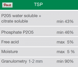 tsp